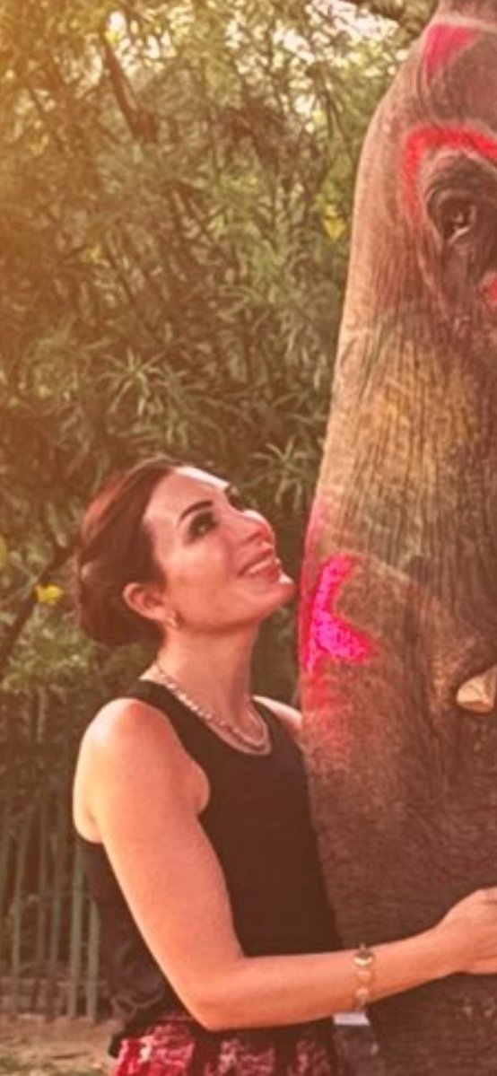 Rusty Johnson tweet media