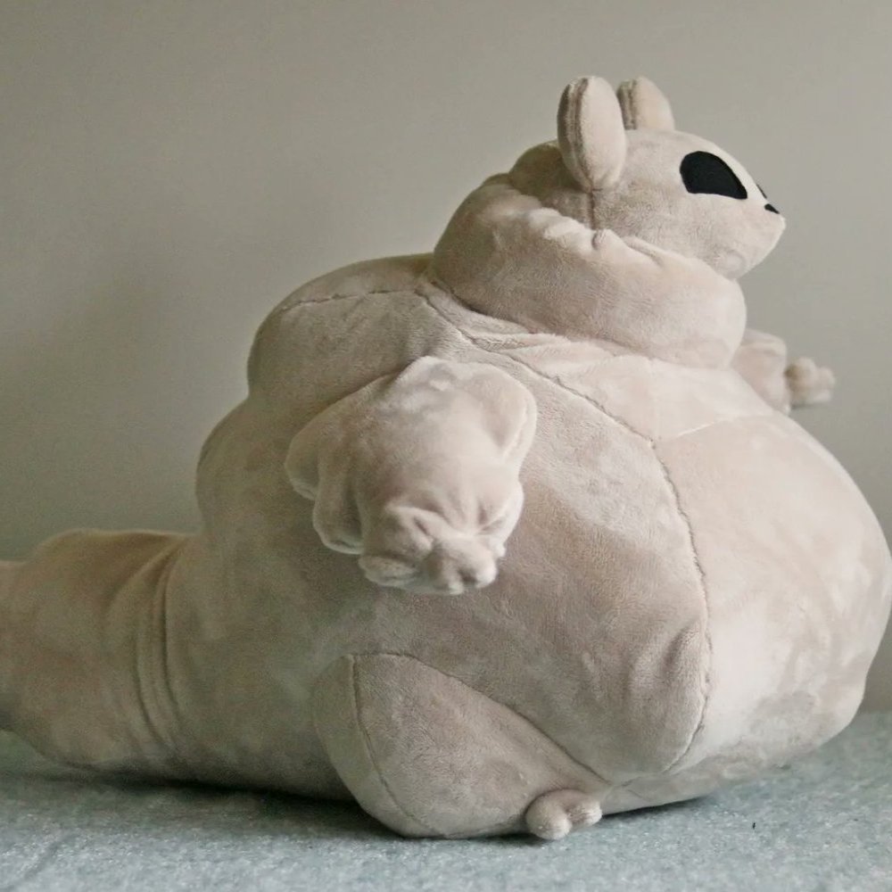 Java 💫 tweet media