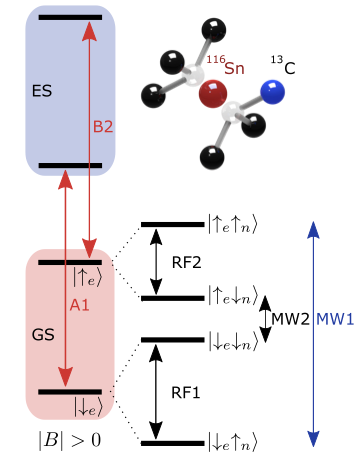 Physical Review X tweet media