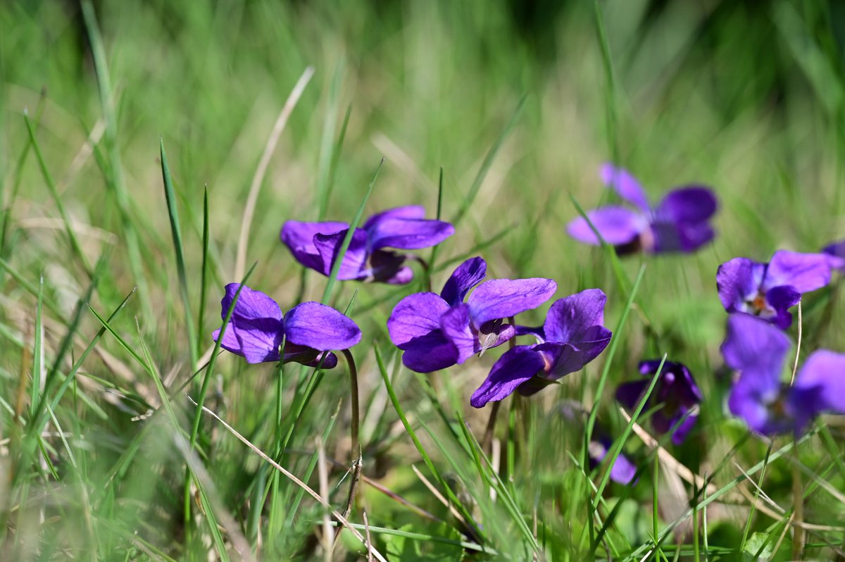 Franky 📷 🌻 tweet media