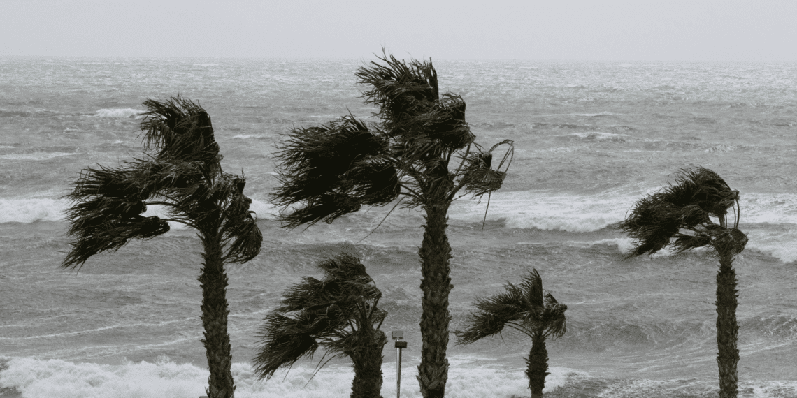 Mi Radio tweet media