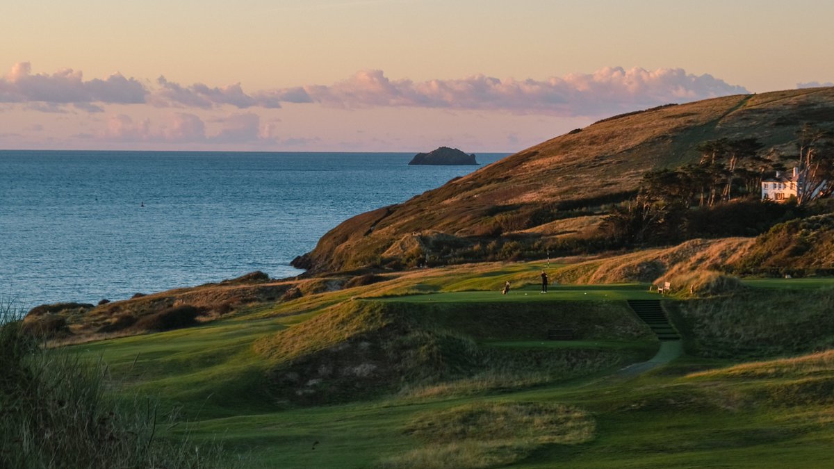 stenodocgolf tweet media