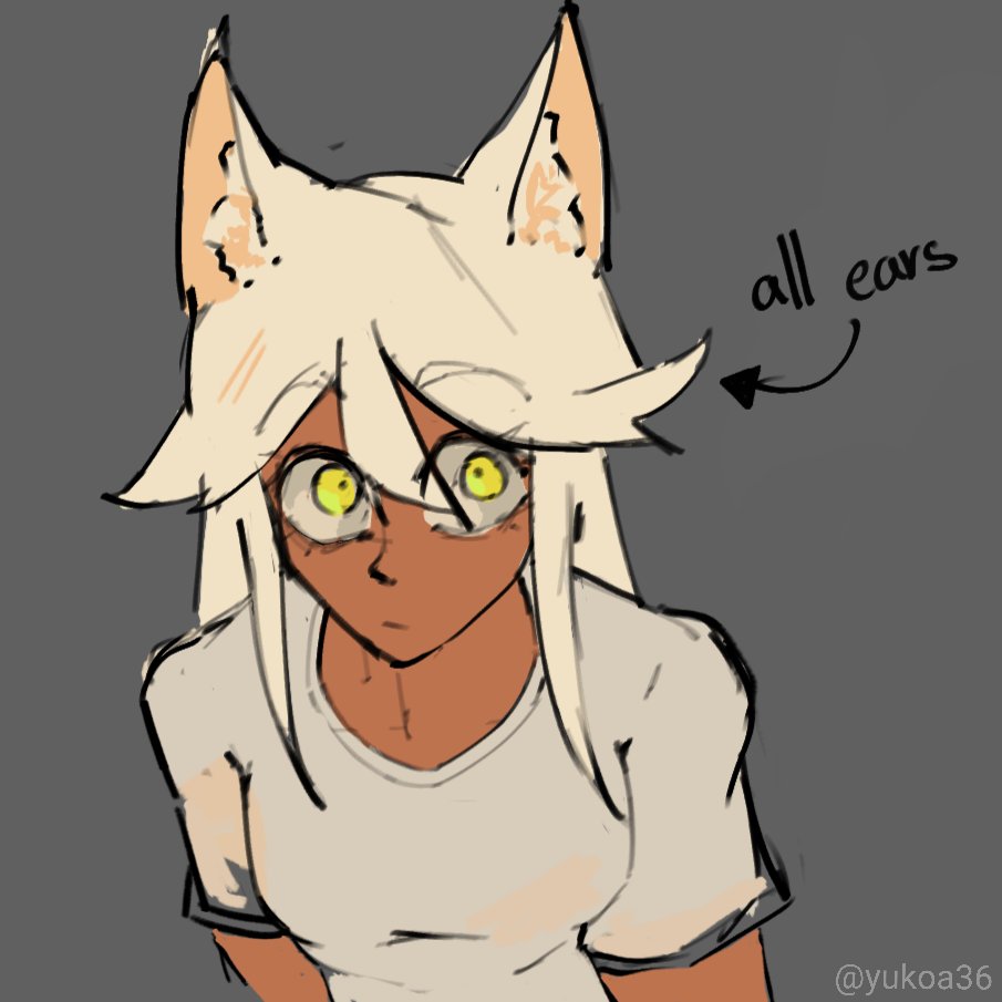 Yukoa 🐟 tweet media