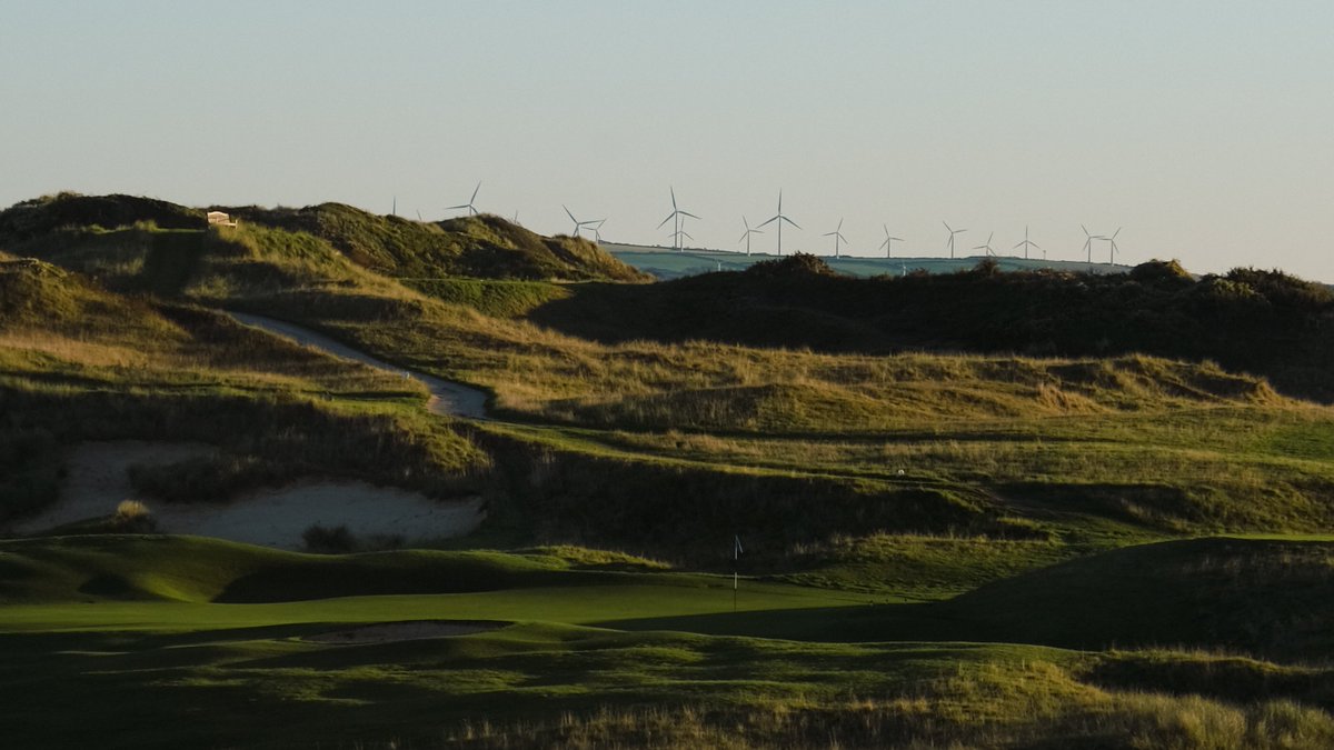 stenodocgolf tweet media