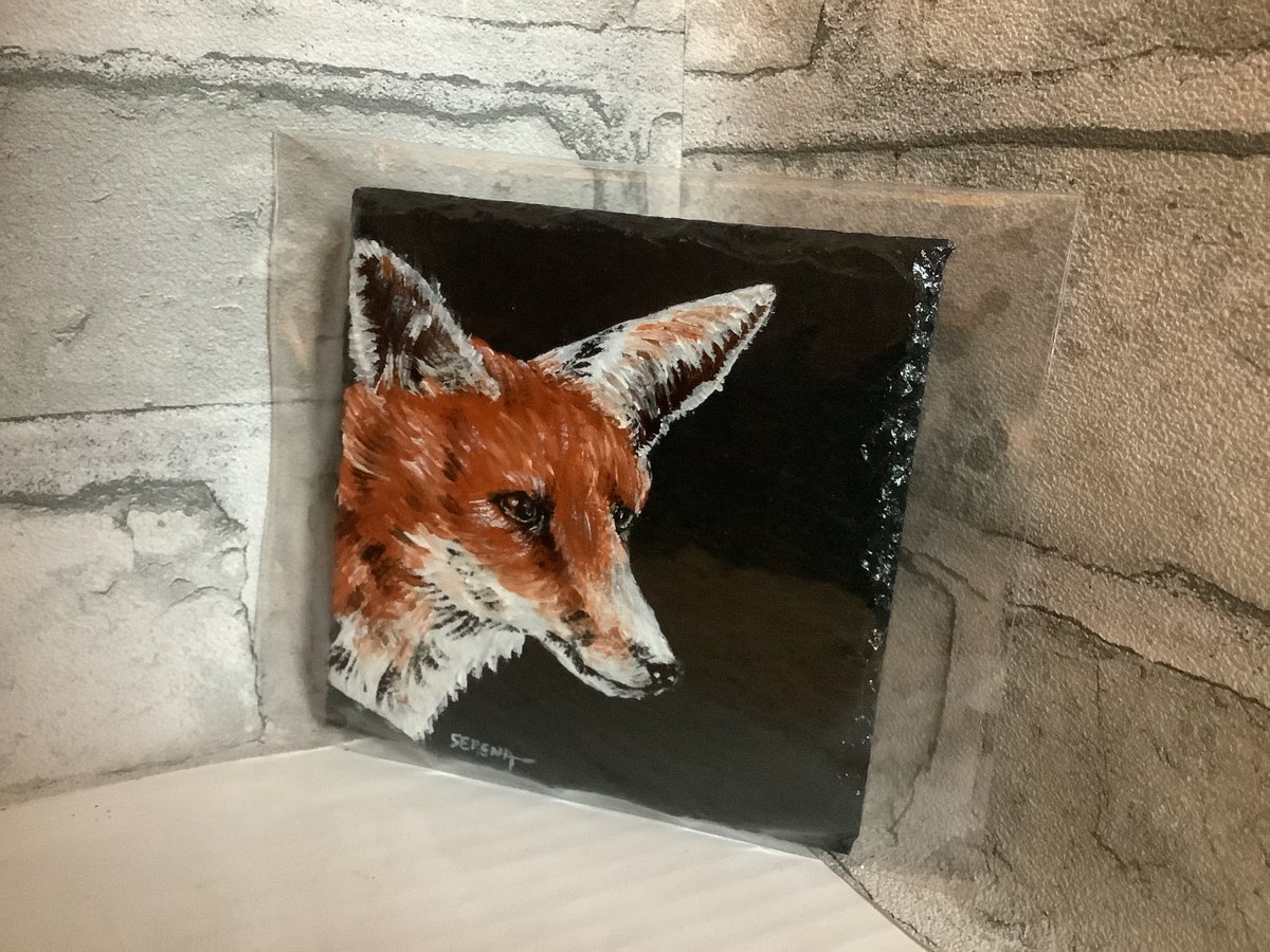 SerenaTwibell tweet media