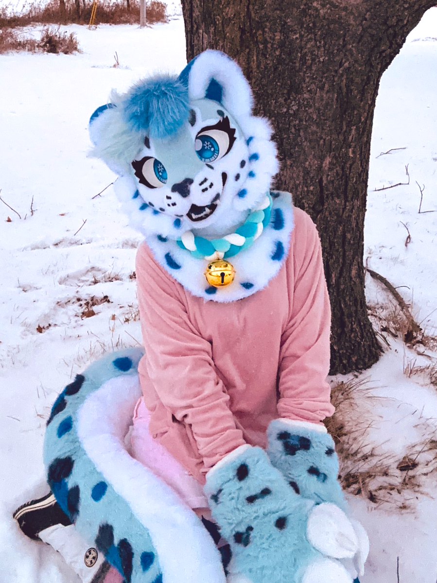 ❄️Snowberry Frost🫐🧊 tweet media