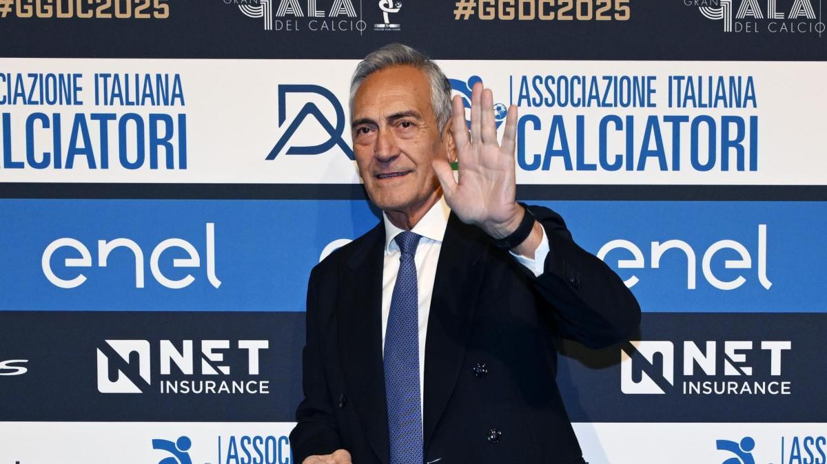 Todomercadoweb's tweet photo. Consejo Federal, luz verde a 6,5 millones de euros en fondos para fútbol base, fútbol femenino y actividad paralímpica
https://t.co/ptSIUDbeNq https://t.co/vI0QGm9AAI
