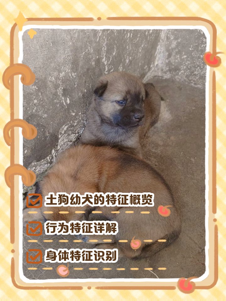 Luis Pinilla tweet media