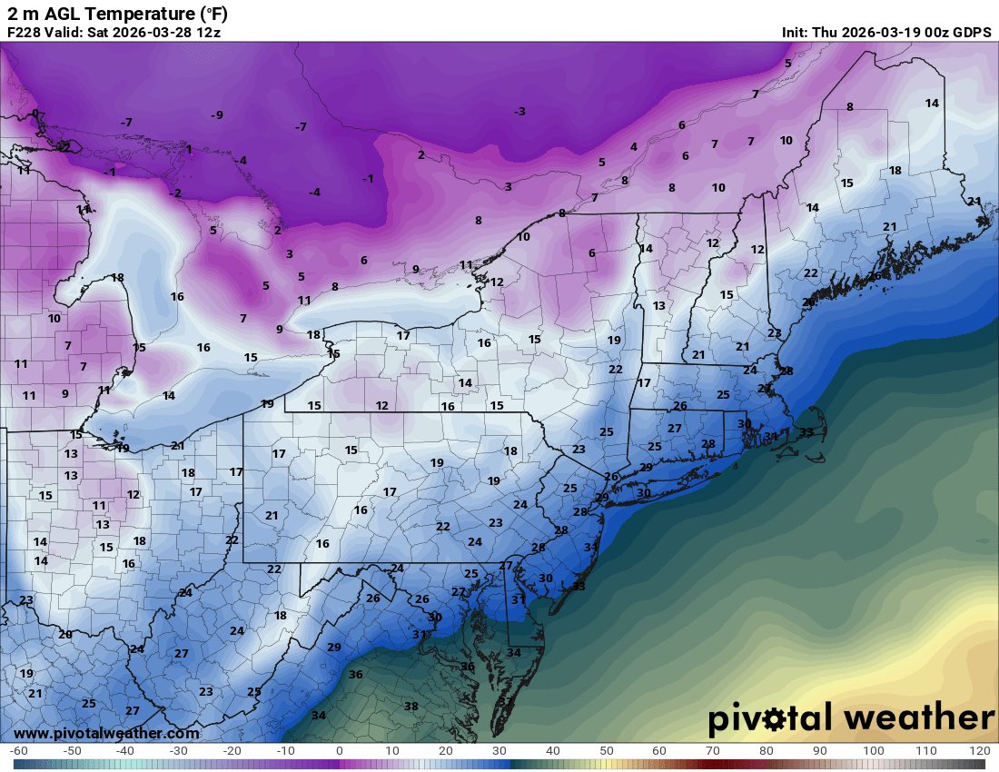 Mark Margavage tweet media