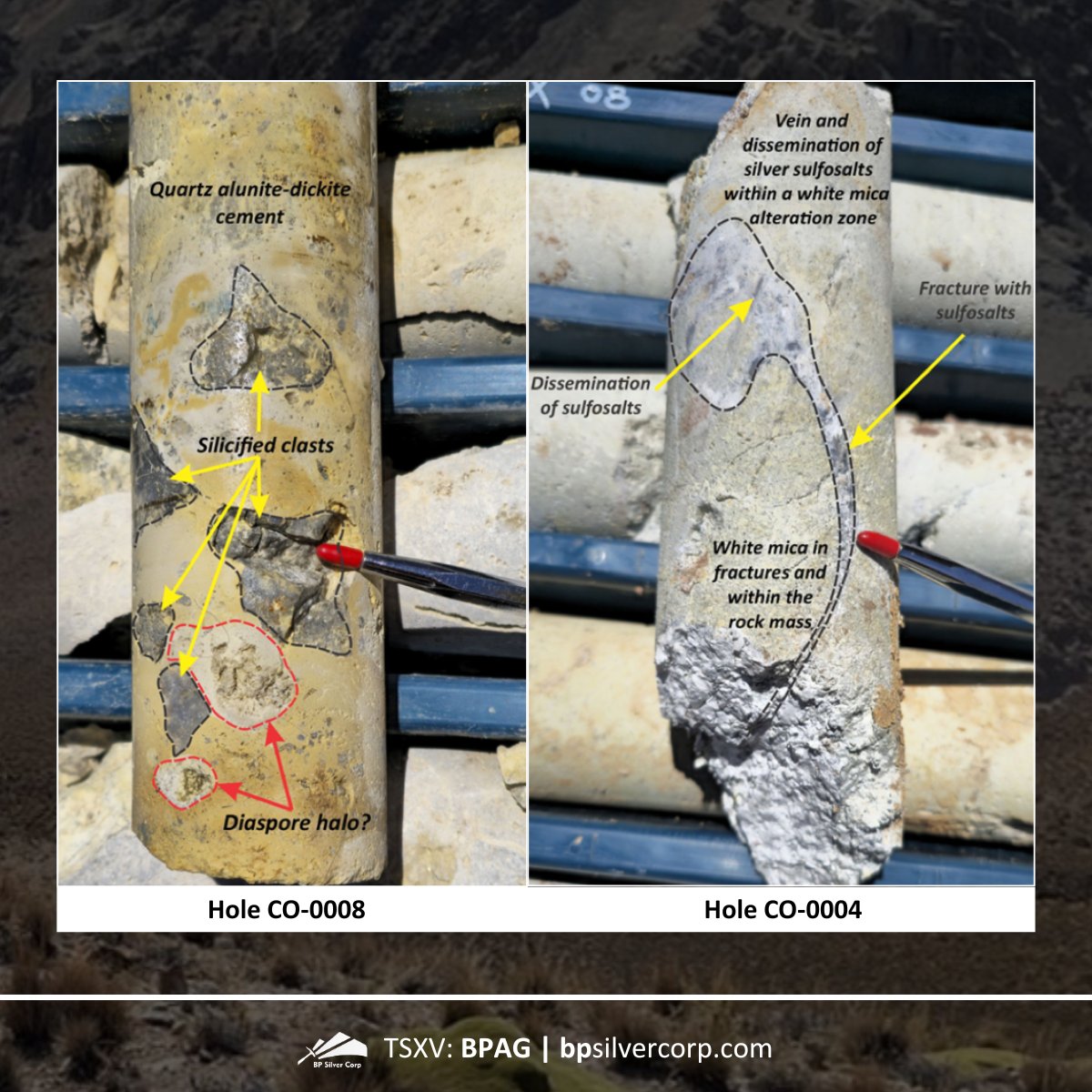 BP Silver Corp. tweet media