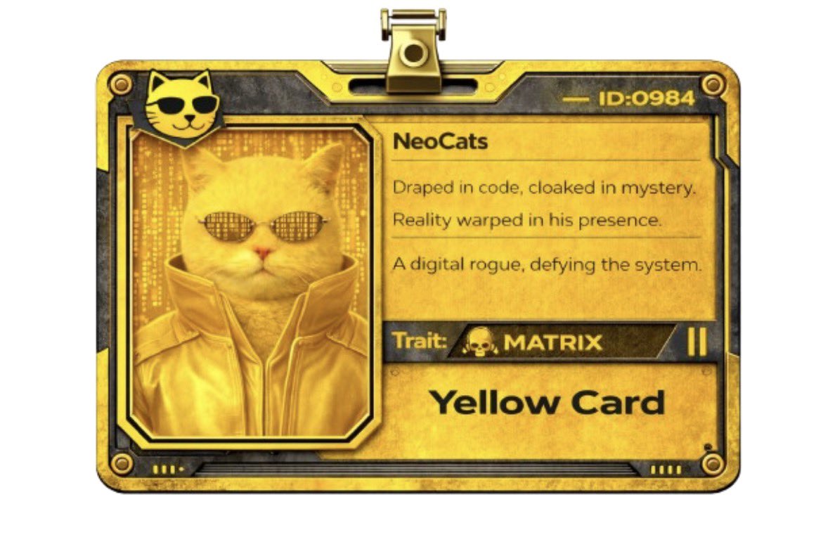 biltechie tweet media