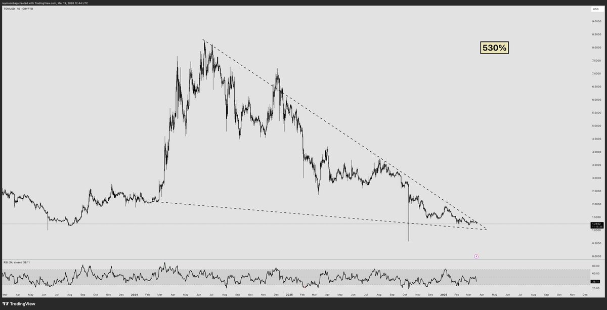 ray 🐂 tweet media