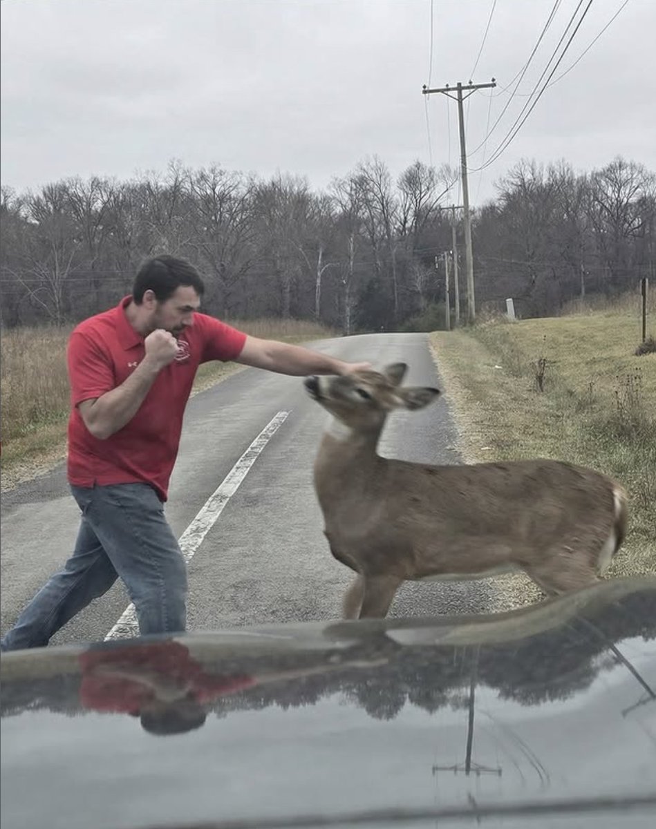 Celina 52 Truck Stop tweet media