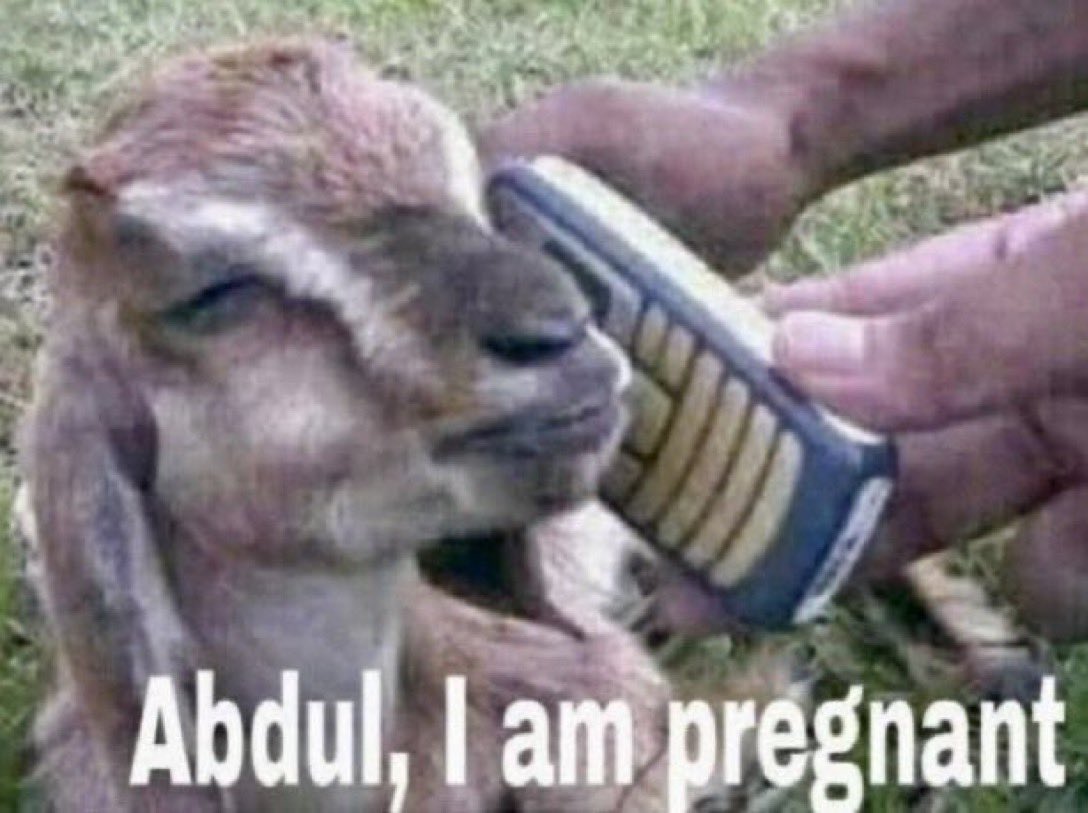 John Kennedy tweet media