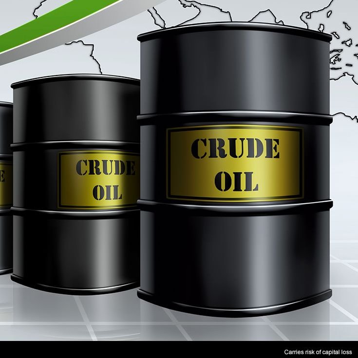 Bull Theory tweet media