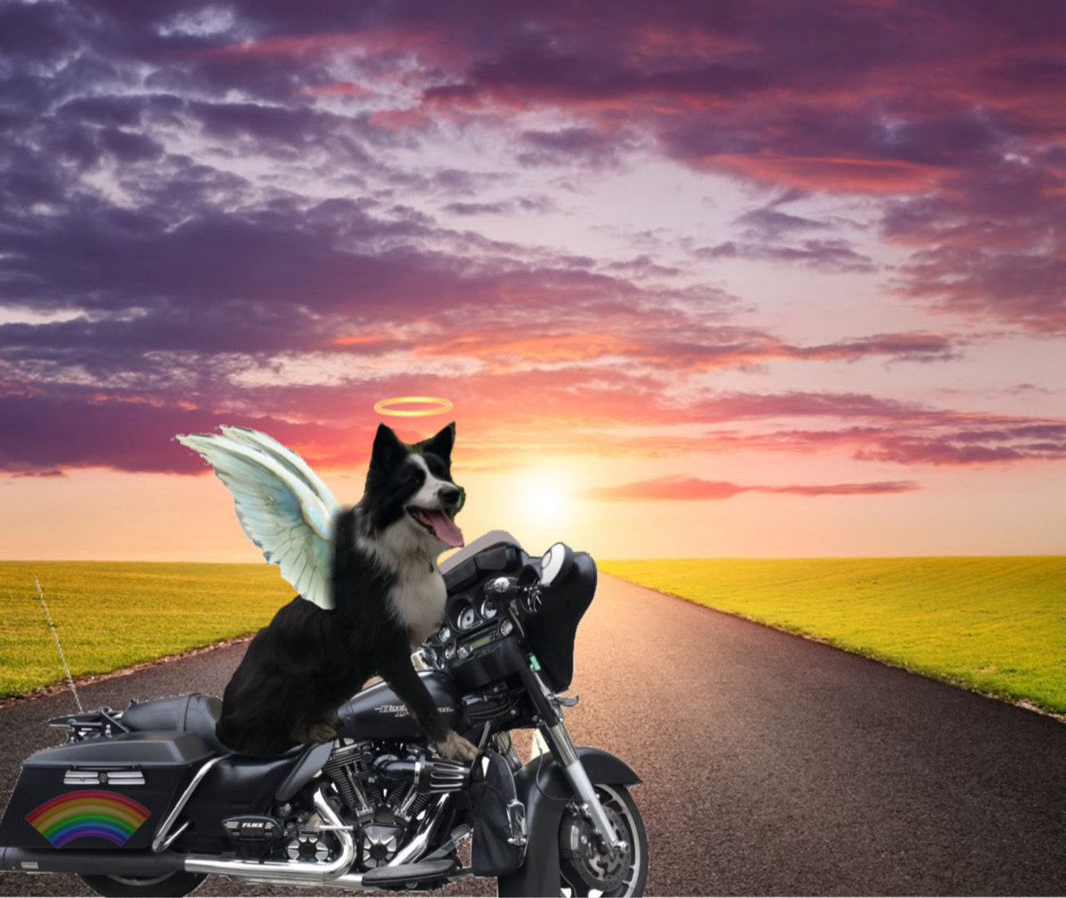 CloudRiderz tweet media