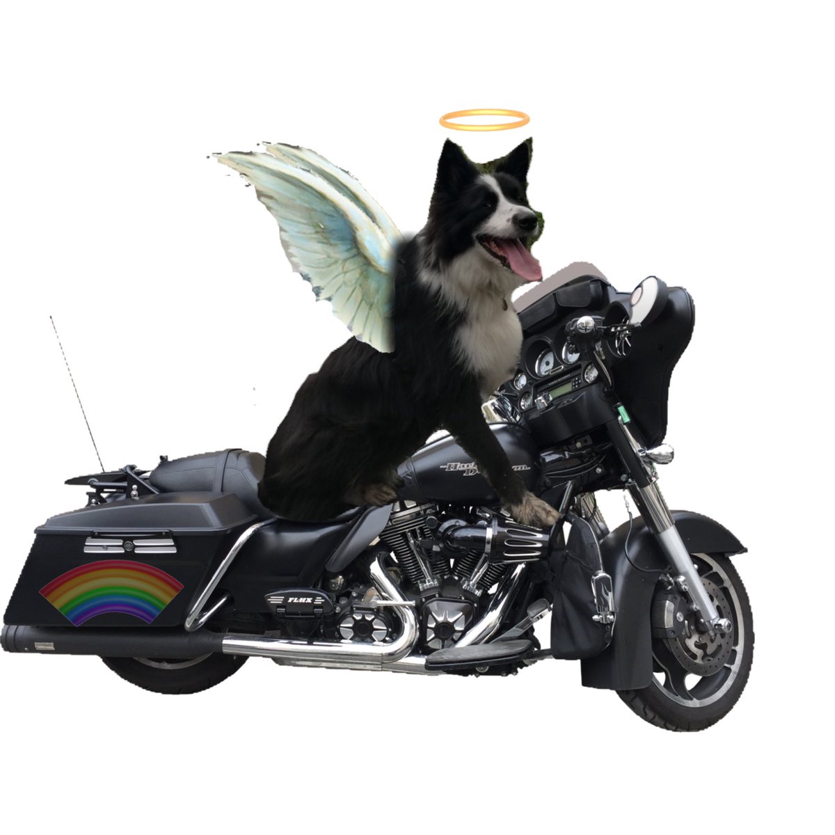 CloudRiderz tweet media