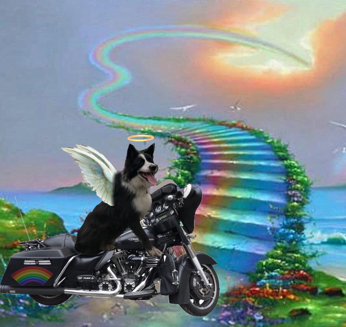 CloudRiderz tweet media