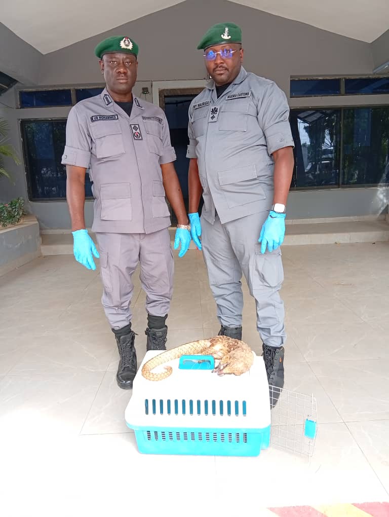 NIGERIA CUSTOMS tweet media