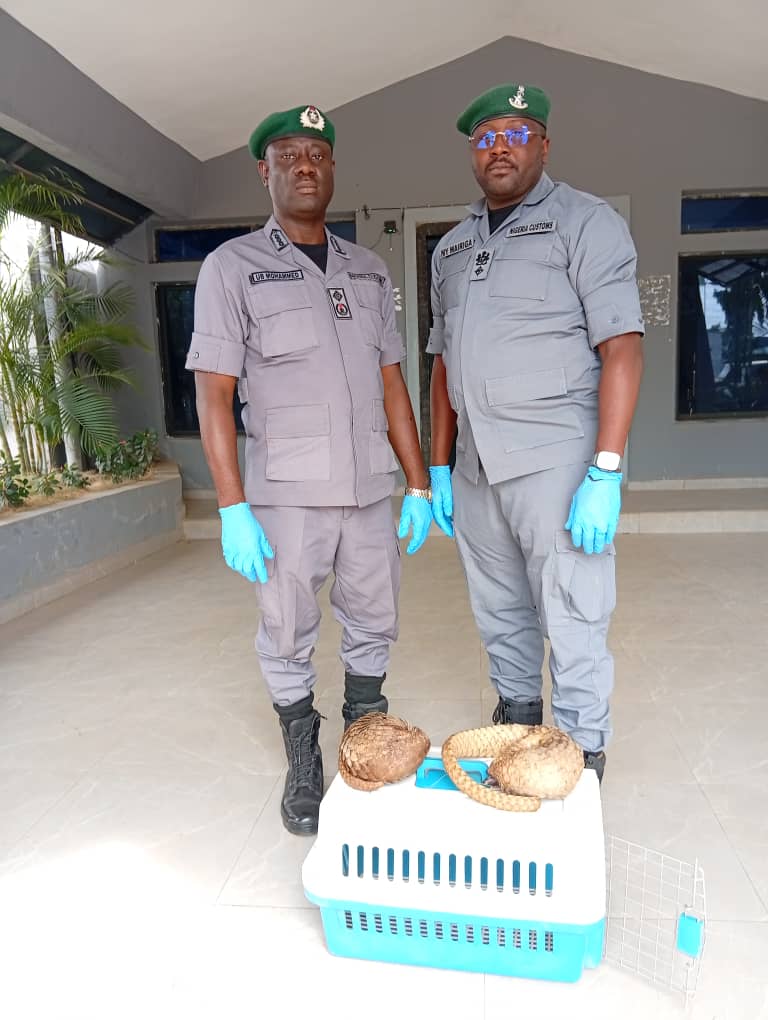 NIGERIA CUSTOMS tweet media