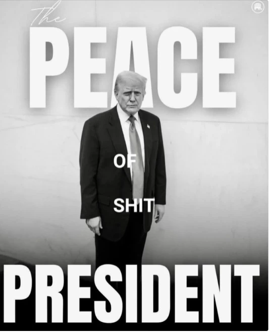 Brown Eyed Susan tweet media