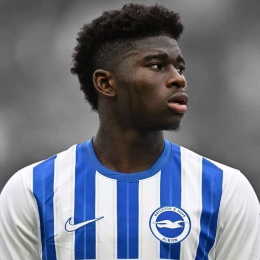 Martien 🇳🇱 tweet media