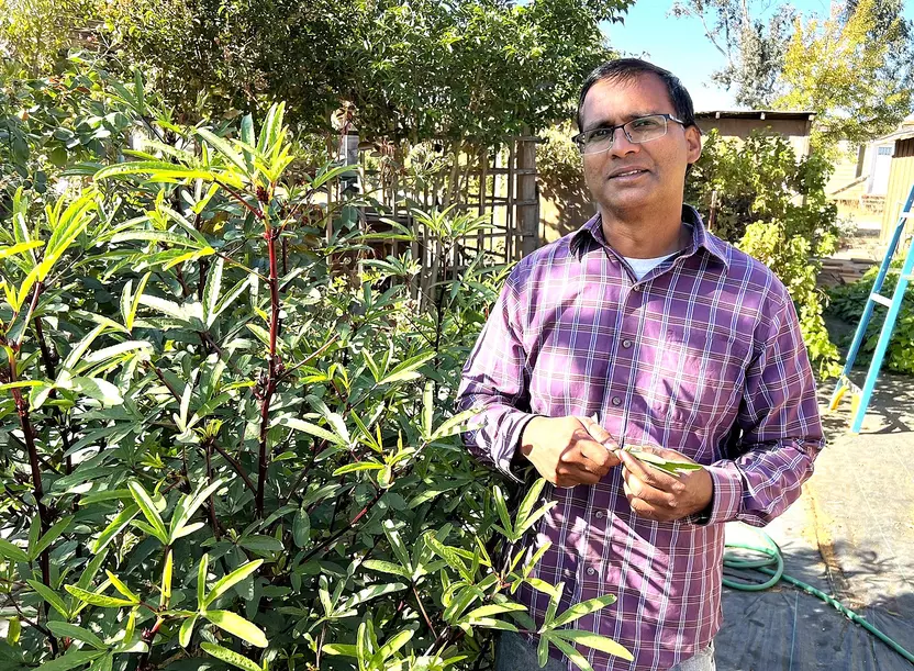 County of Santa Clara tweet media