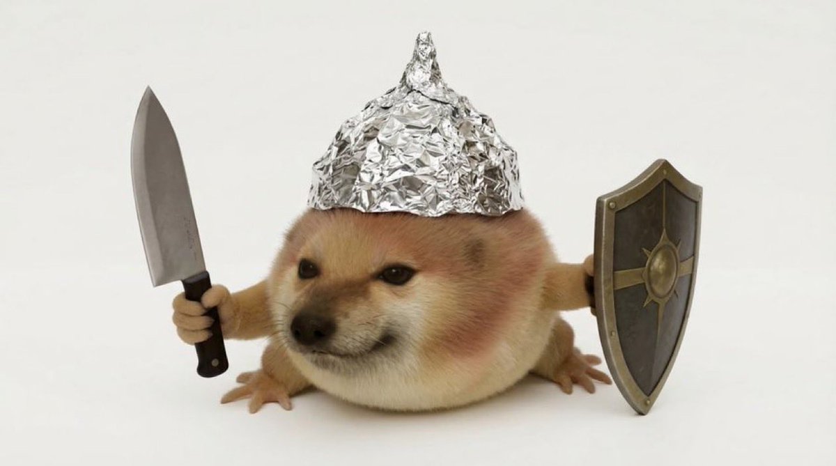 Lu (Trench Arc) 🛡️🗡️ tweet media