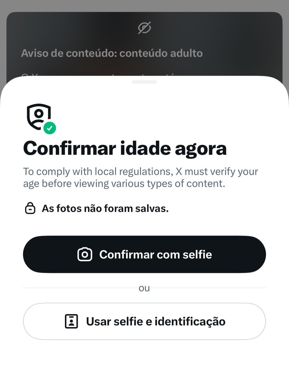 Júlia Zanatta tweet media