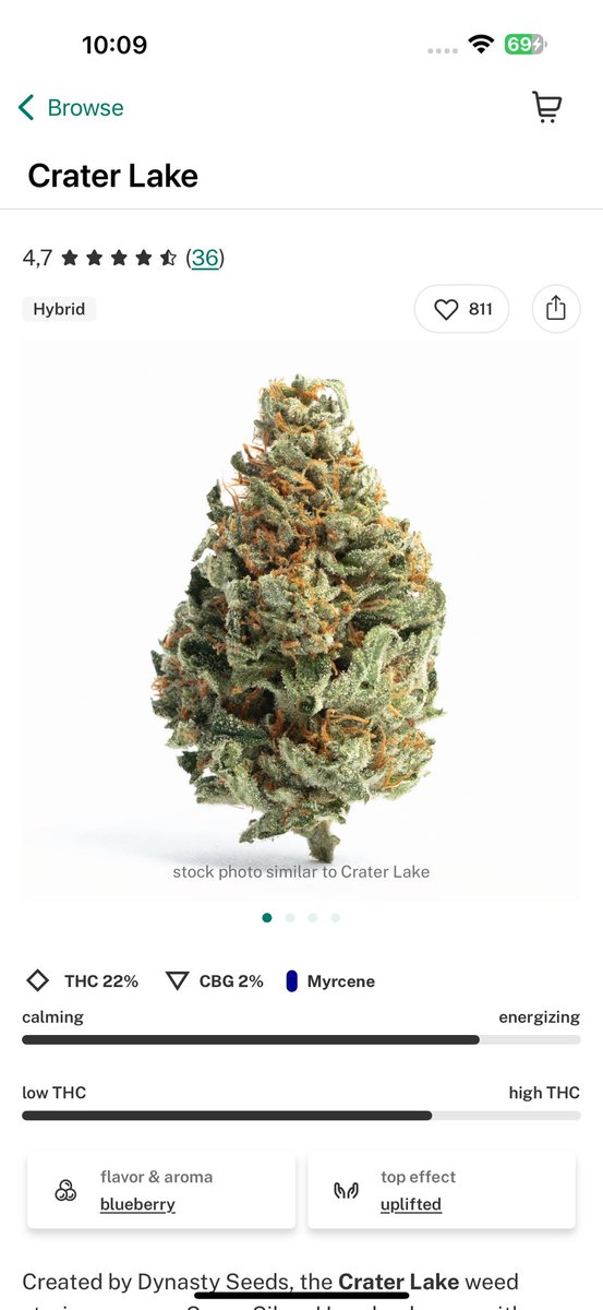 Hard brain 🧠 Strain 🌳 tweet media