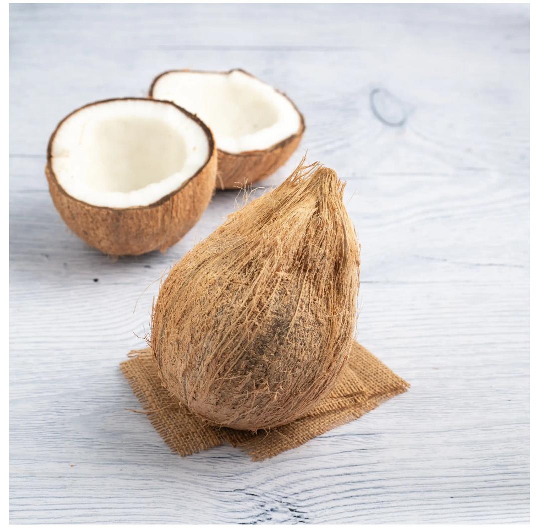 Food Innovatech tweet media