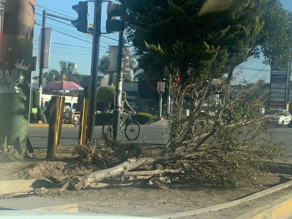 Juan Carlos Valerio tweet media