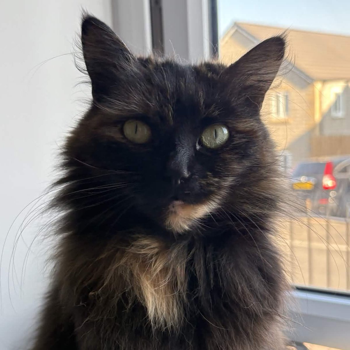 thanerdTy tweet media