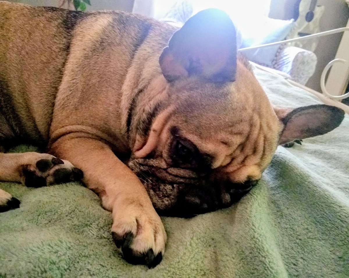 Whale Psychiatrist ™️ tweet media