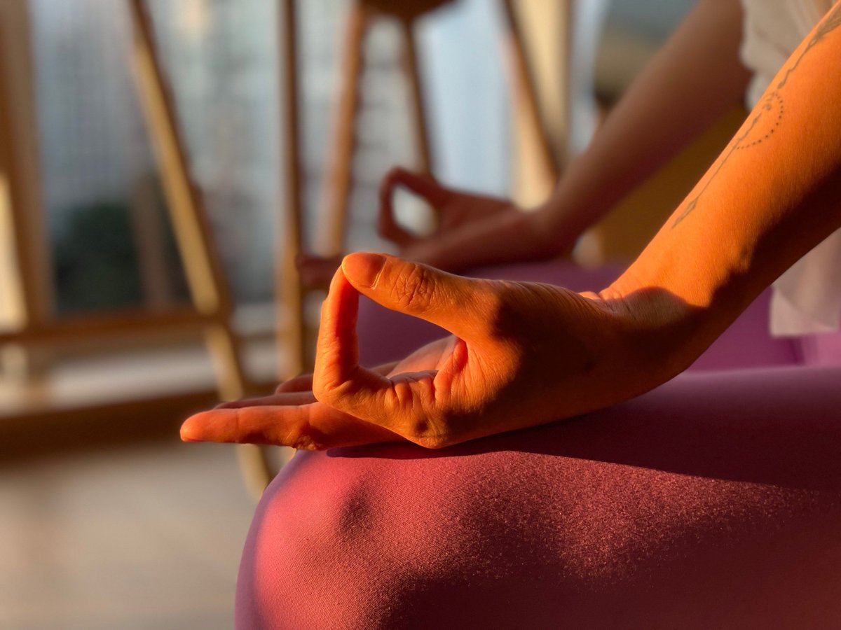 frank zirpoli tweet media