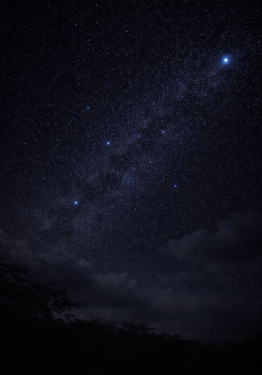 adamn 🌄 tweet media