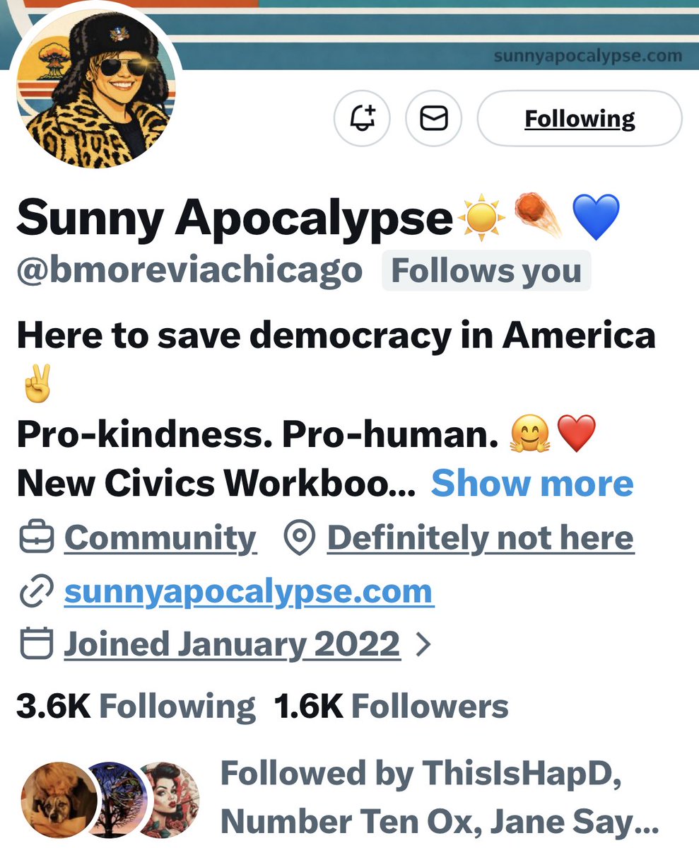 Turquoise Cat tweet media