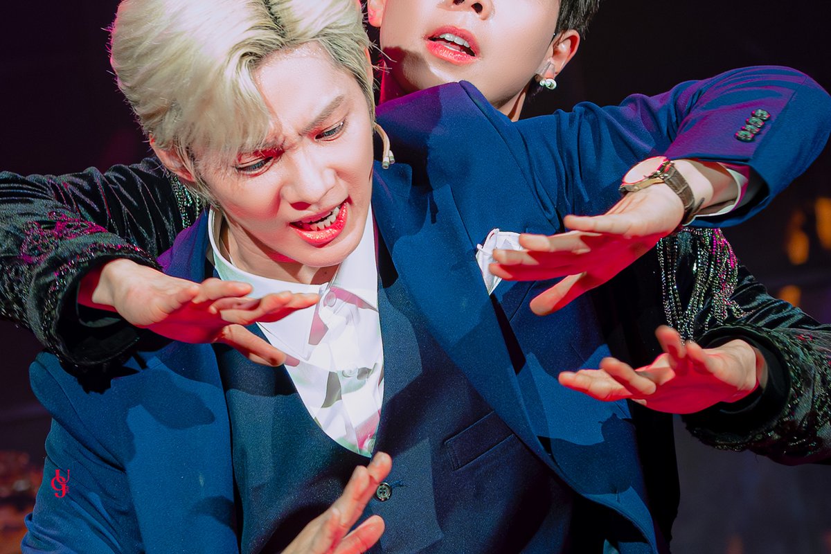 북극곰의 눈물✨️ tweet media