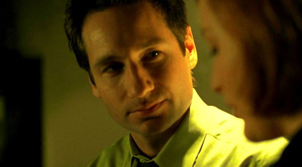 Fern Delavan tweet media