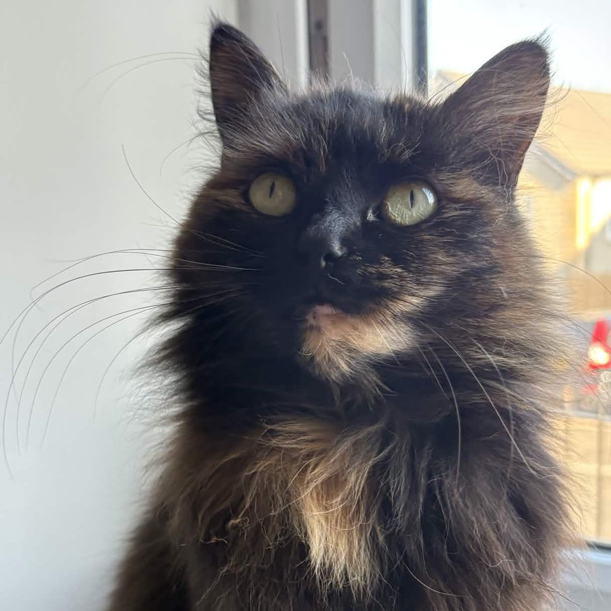 thanerdTy tweet media