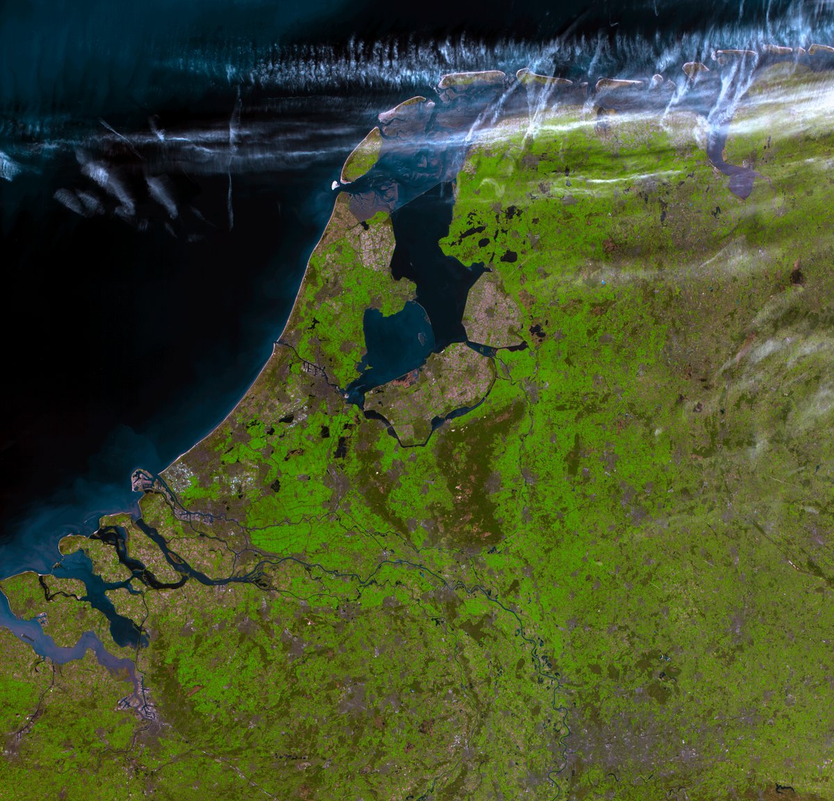 JM. 📡 tweet media