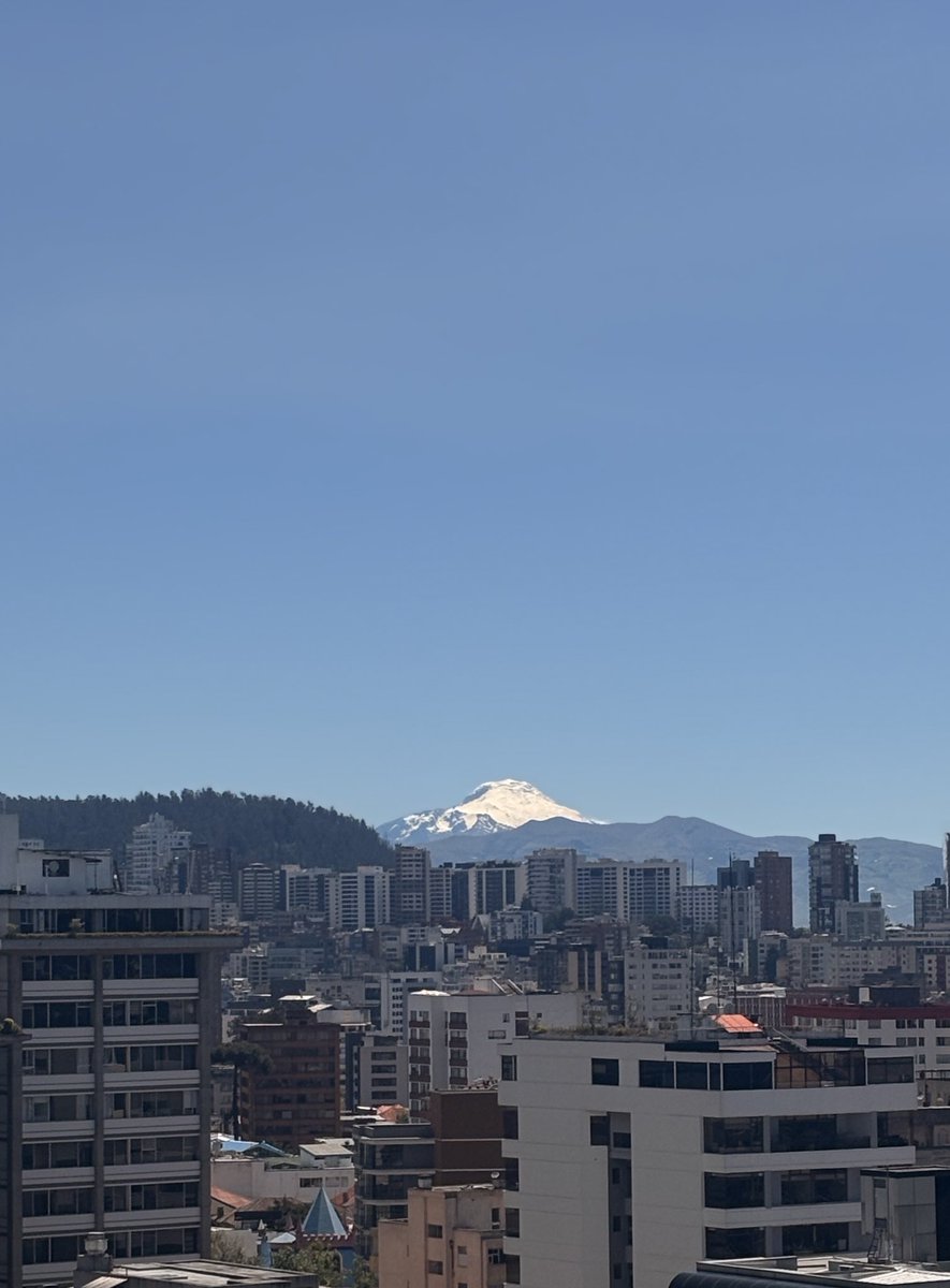 María Emilia tweet media