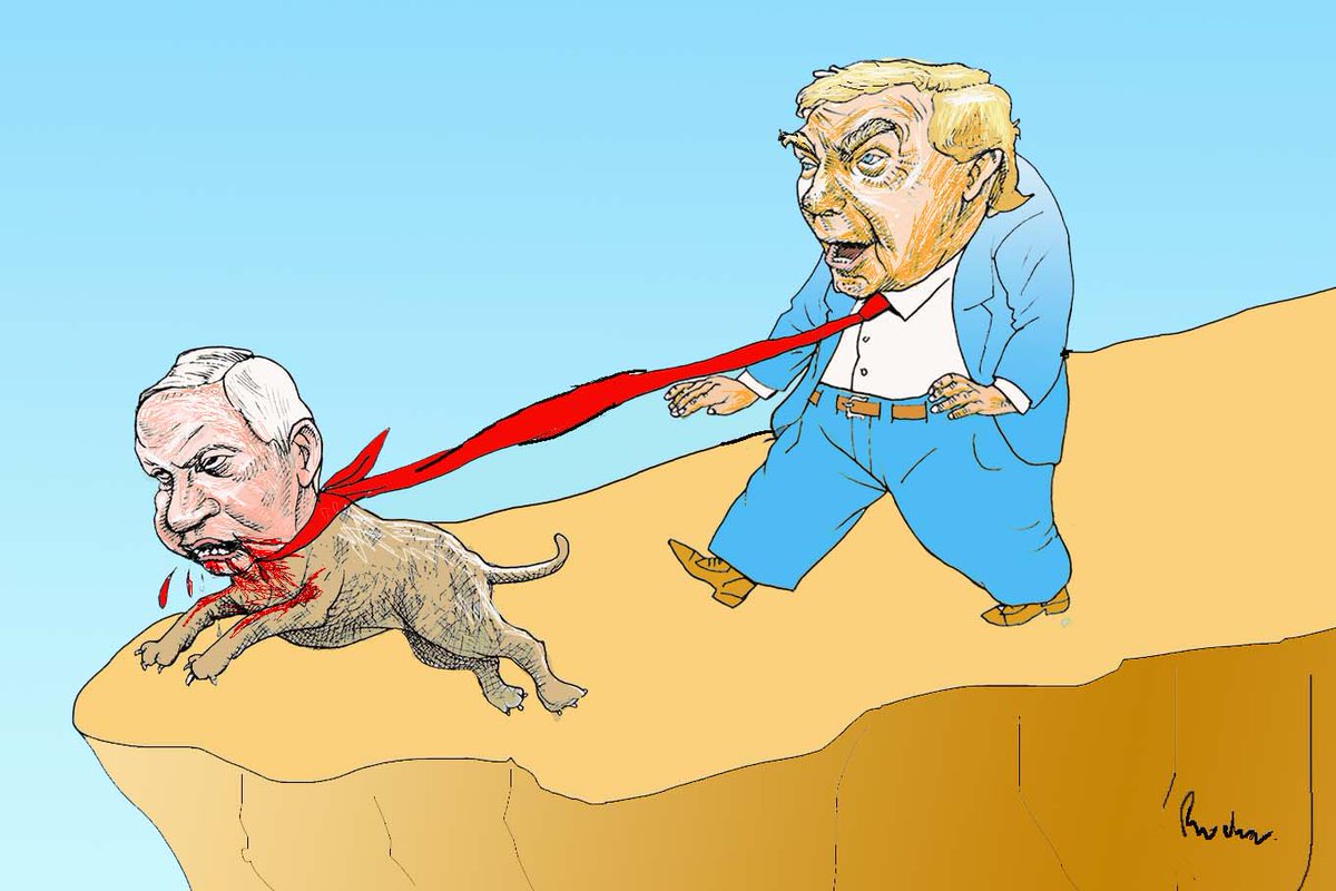 Rochamonero tweet media