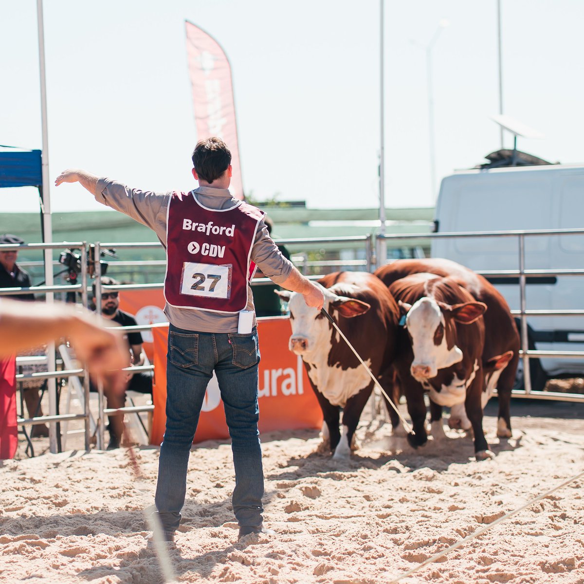 Braford Argentina tweet media