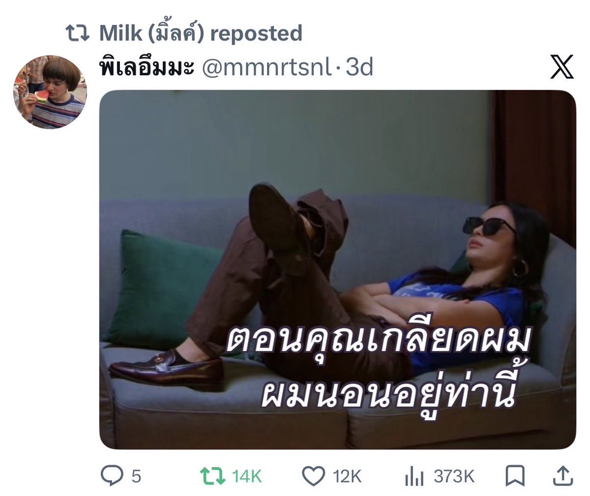 𝓷𝓴 🐈⬛🌱 tweet media