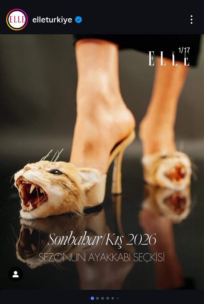 Şebnem Erdem tweet media