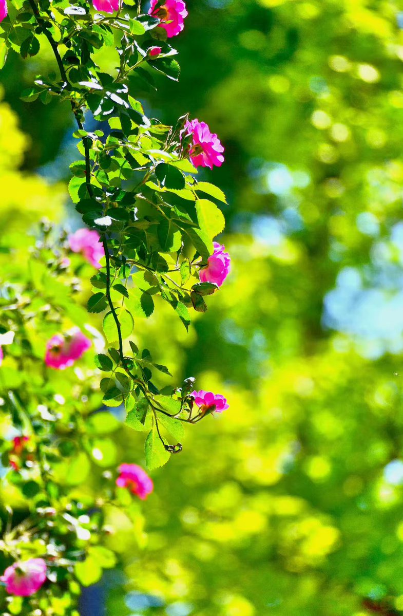 asaad fuseini tweet media