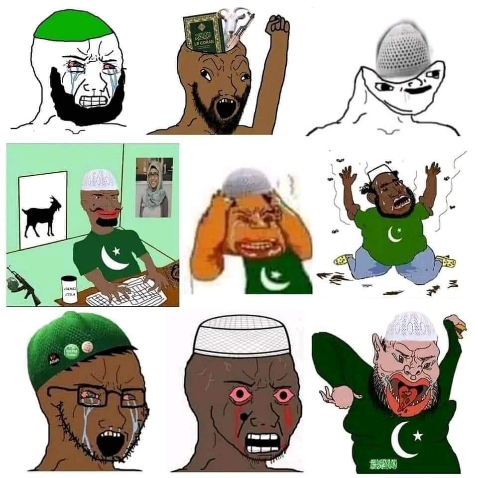 India Geo Lens tweet media