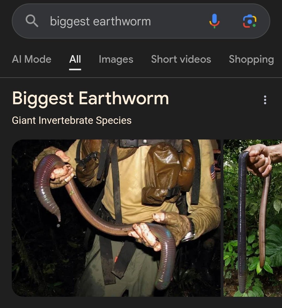 John Pat 🇺🇲🏈😜 (Spallaps) tweet media