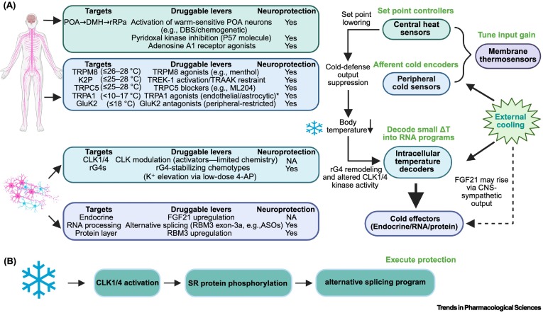 Trends in Pharmacological Sciences tweet media